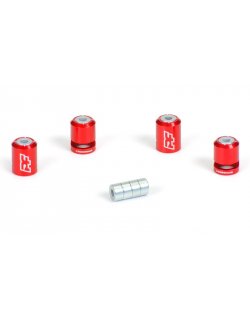 Crosshair - Magnetic Body Mounting Kit