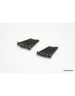 1-S03025 Bind Screw(M3x25/10pcs)