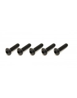 1-S14016H Button Screw(Hex/M4x16/5pcs)