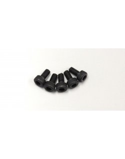 1-S23006 Cap Screw(M3x6/5pcs)