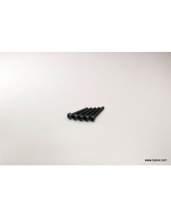 1-S23022 Cap Screw(M3x22/5pcs)