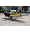 SEA123N A6M Zero 67"span 20cc