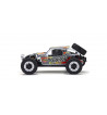 34406T1 1:10 Scale Radio Controlled Electric Powered 2WD Buggy EZ Series readyset AXXE 2.0 Color Type 1
