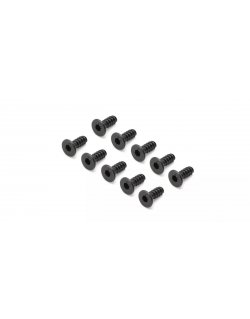 1-S33008TPH TP Flat Head Screw (Hex/M3x8/10pcs)