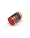 37041 LE MANS DRIFT Sensorred Brushless Motor 13.5T